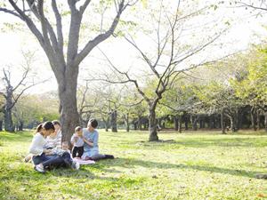 ニューボーンフォトは広島のスタジオで